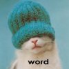 word1_996.jpg