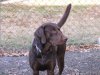 jimbo_004_739.jpg