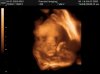 babyanabelle_948.jpg