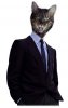 cat_suit_587.jpg