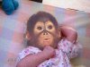 monkeybaby_170.jpg