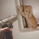 kittygun_443.jpg