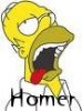 Homer.jpg