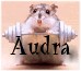 Audrahamster..jpg