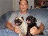 dadpugs.jpg