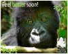 feelbettersoon.jpg
