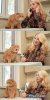 Insane_faces_cat.jpg