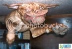 what-kind-of-animal-is-that-d22.jpg