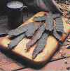 jerky.gif
