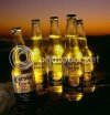corona_beer_sunset.jpg