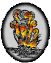 smafire3.gif smafire3.gif