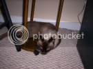Picture011.jpg