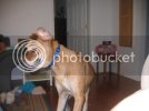 06360ca3.jpg