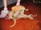 Pictures061.jpg