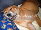 Pictures073.jpg