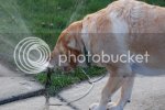 miscpics3078.jpg