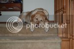 miscpics115Medium.jpg