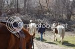 DSC_0586.jpg
