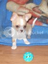 165012_Day2-8_5weeksF.jpg