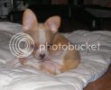 165010_Day2-8_5weeksD.jpg