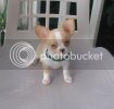 165002_9_5weeks.jpg