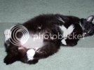 newcamera04-10207.jpg