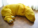 yellow_pet_rhino.jpg