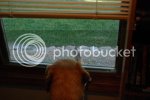 DSC_0020.jpg