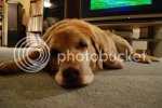DSC_0039.jpg