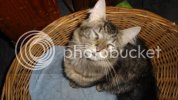 DSC00729.jpg