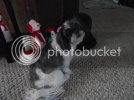 dscf9348.jpg