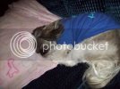 100_0255.jpg