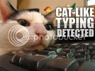 cattyping2gf.jpg