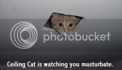 ceilingcat.jpg