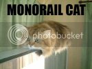 MonorailCat.jpg