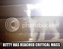 kitty_crit_mass.jpg