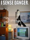 isensedanger.jpg