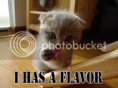 ihasaflavor.jpg