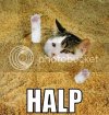 halp.jpg