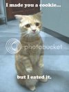 cookieeated.jpg