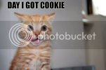 cookieday.jpg