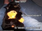 lolcats-your-turn.jpg