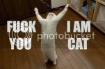 funny-lol-cat-001jpg2.jpg