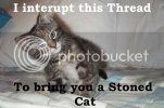 Stoned_20CatKWbB6E.jpg