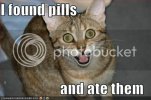 lolcat-funny-picture-found-pills-1.jpg