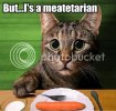 LolCatRenderer2-10.jpg