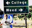 funny-signs-weed.jpg