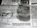 happycatnewspaper-1.jpg