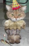 BirthdayCat.jpg