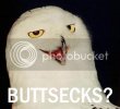 buttsecks.jpg